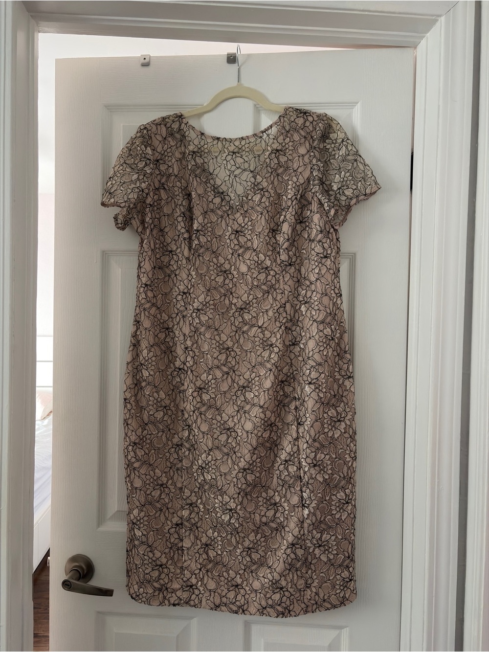 Blush Lace-Overlay Midi Dress with Short Sleeves